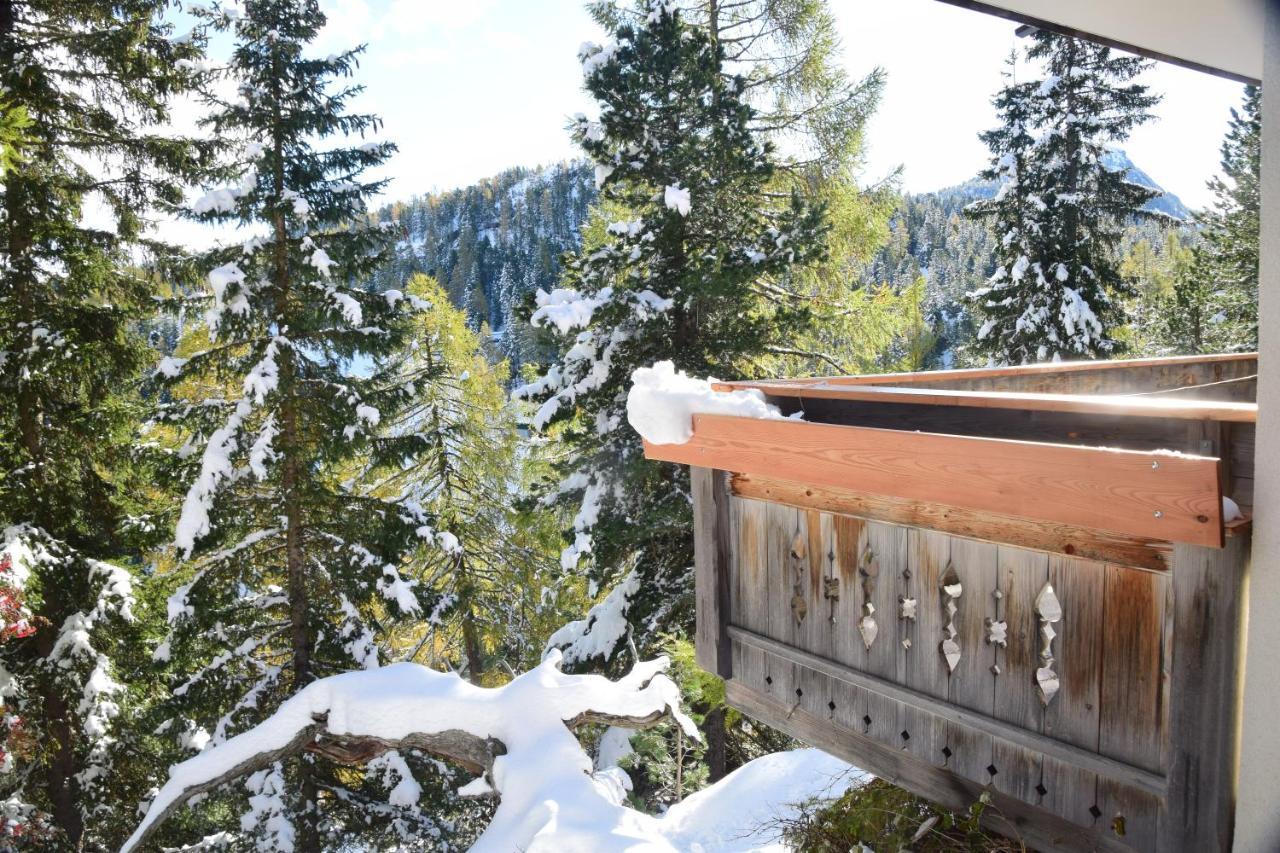 Alpenflair Appartment Mit Aussicht Zum Traeumen Turracher Hohe Extérieur photo