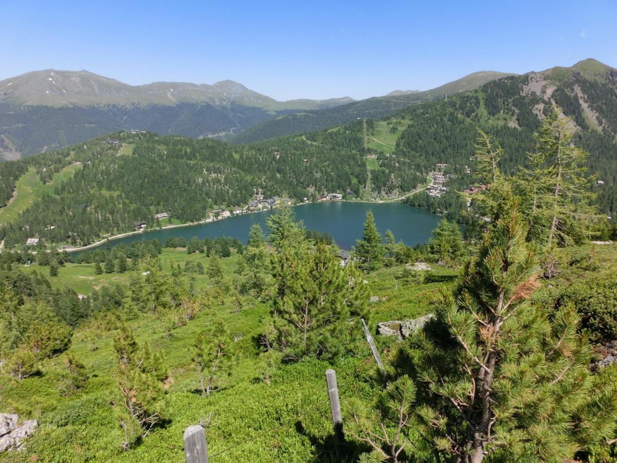 Alpenflair Appartment Mit Aussicht Zum Traeumen Turracher Hohe Extérieur photo