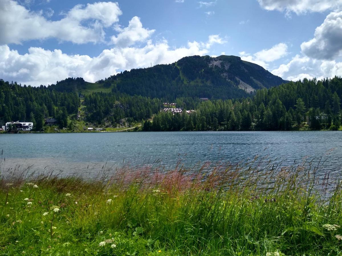 Alpenflair Appartment Mit Aussicht Zum Traeumen Turracher Hohe Extérieur photo