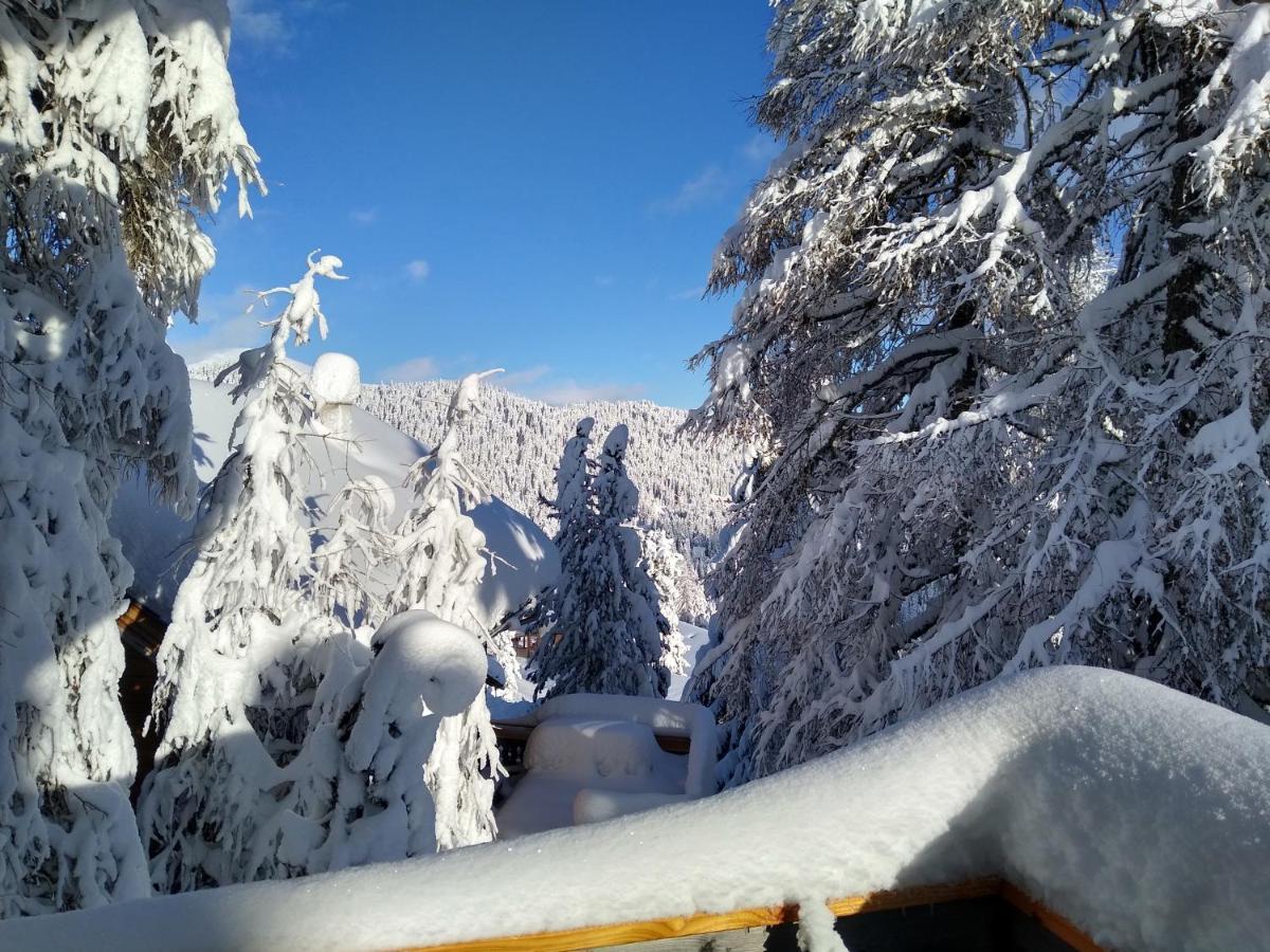 Alpenflair Appartment Mit Aussicht Zum Traeumen Turracher Hohe Extérieur photo